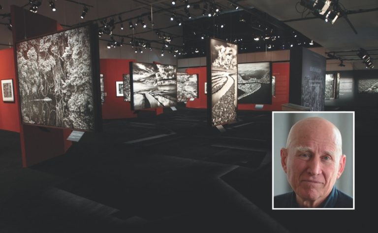 Exposição no Cais das Artes vira atração no feriadão