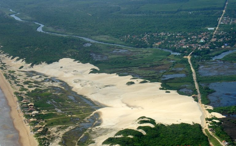 Parque ambiental capixaba atua no resgate de animais
