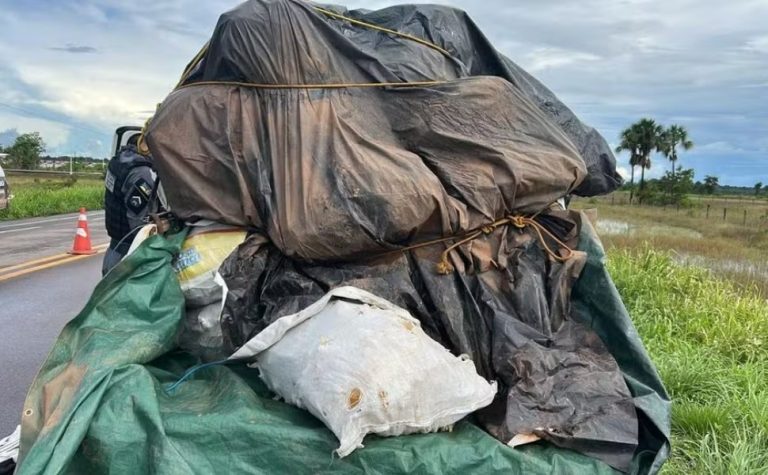 Quatro são presos com carga de grude de peixe avaliada em R$ 1 mi no Amapá