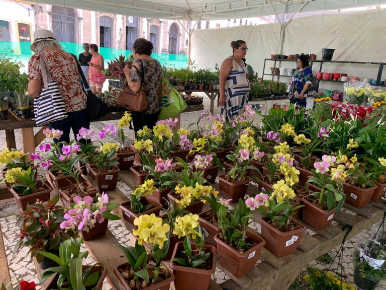 Recife recebe nova edição do Festival Flores de Holambra para o Dia das Mães
