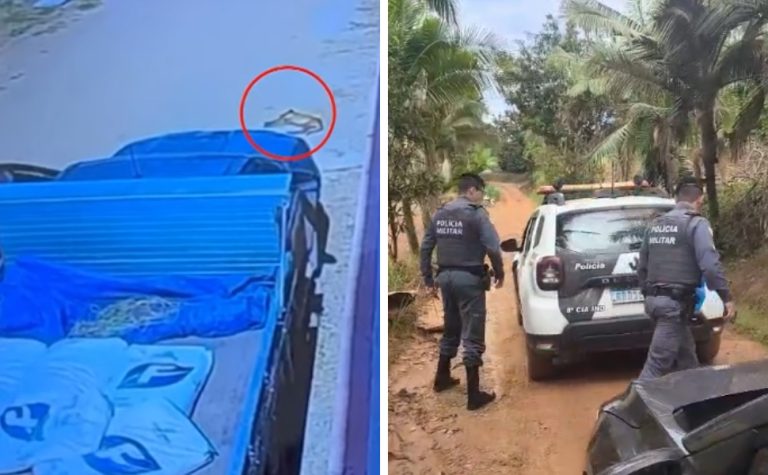 VÍDEO | Cadela é atropelada e caso vai parar na polícia no interior do ES