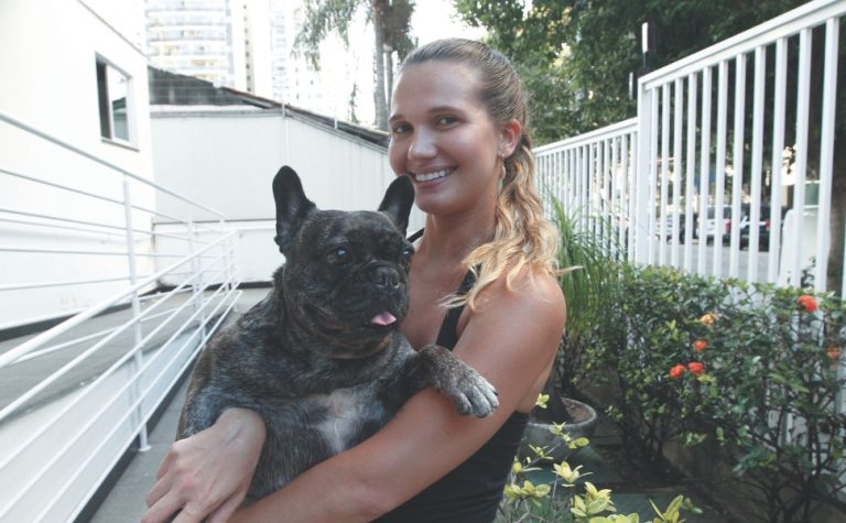 16 mil cães e gatos têm carteira de identidade