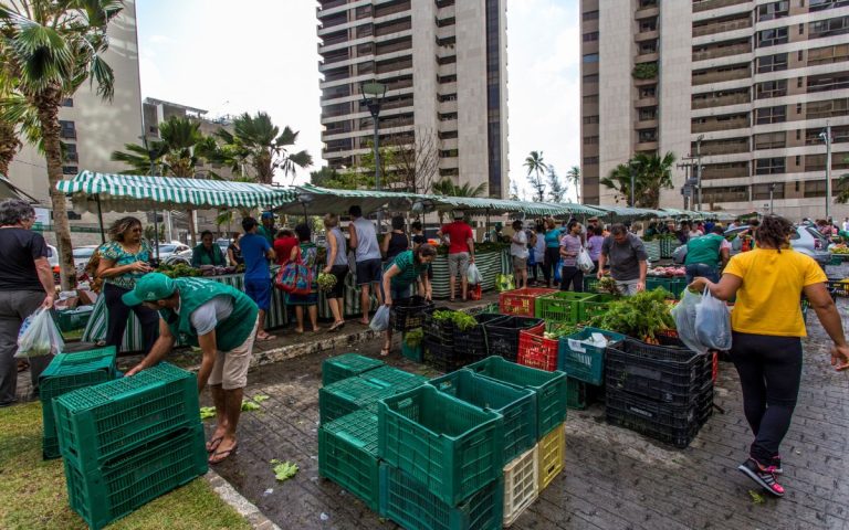 Agricultura familiar: Feira de Setúbal lança campanha de produtos orgânicos