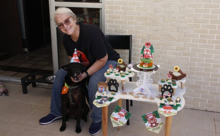 Bolos, doces e até cachorro-quente em festa de pet