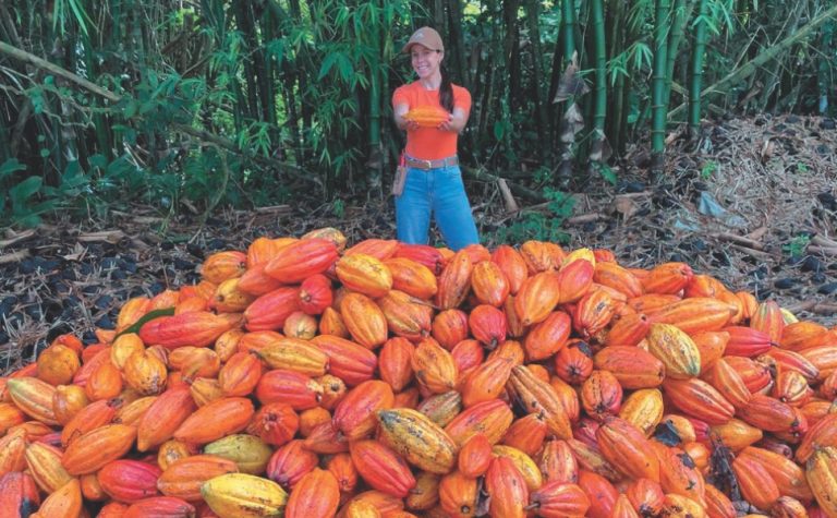 Como nova lei vai mudar o chocolate no Brasil