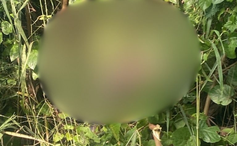 Detento é encontrado morto em linha férrea na Serra