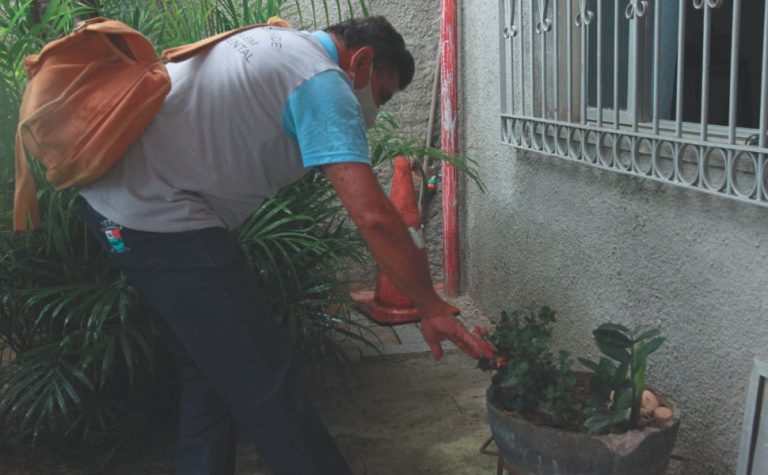 ES investiga 10 mortes por dengue