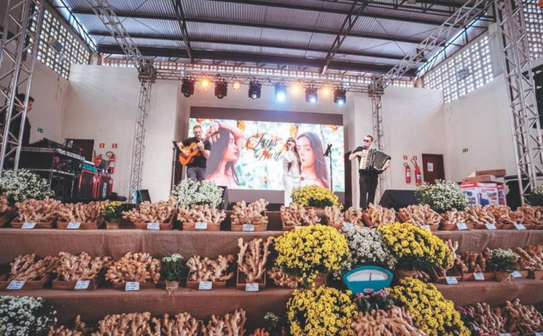 Festa do gengibre com shows de graça e delícias