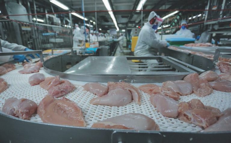 Governo do ES estuda doar área para instalação de abatedouro de aves
