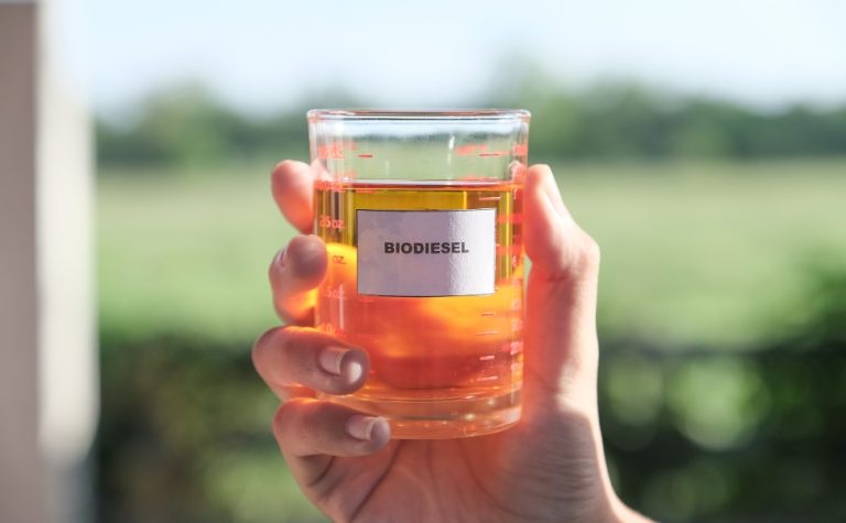 Governo projeta aumento da mistura de biodiesel até final do ano