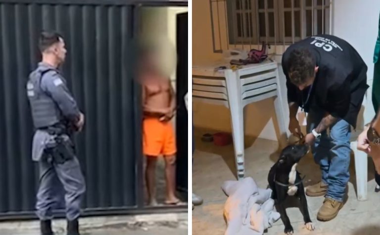 Homem é preso após ser flagrado agredindo cachorro com chinelo no Sul do ES