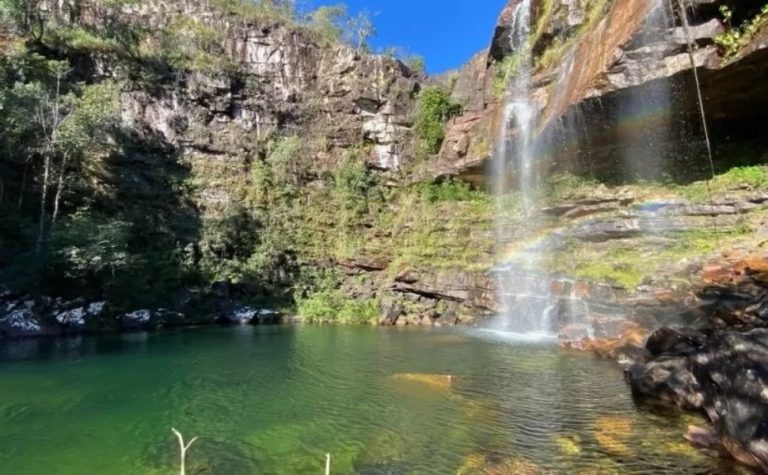Menina de 8 anos é atacada por onça durante trilha na Chapada dos Veadeiros