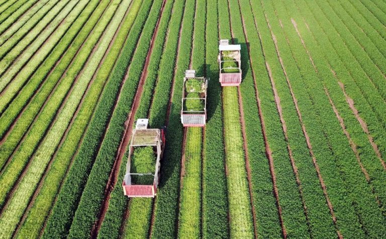 Novo programa da TV Tribuna/Band, Tribuna Agro estreia dia 07 de junho
