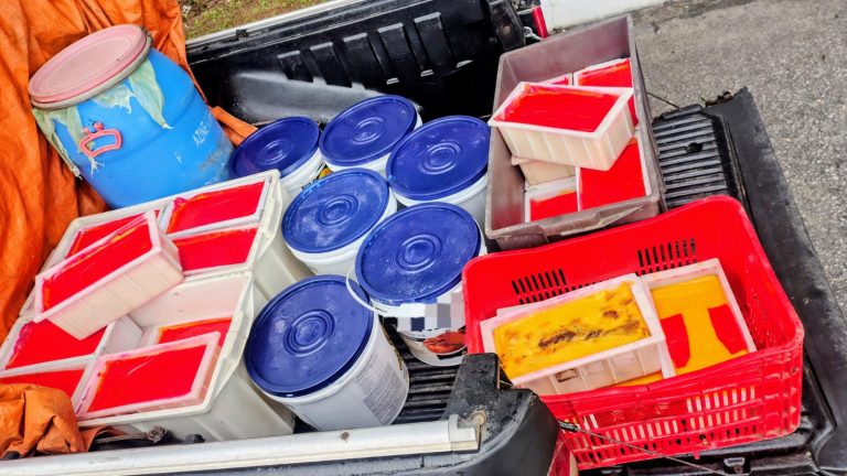 PRF aprende mais de 300 kg de lacticínios sem refrigeração em Garanhuns