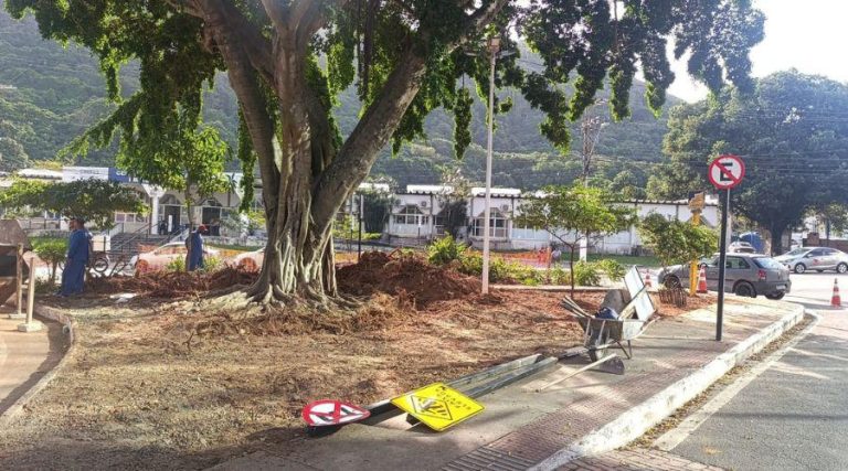 Prefeitura nega retirada de figueira e inicia obras em canteiro na Praia da Costa