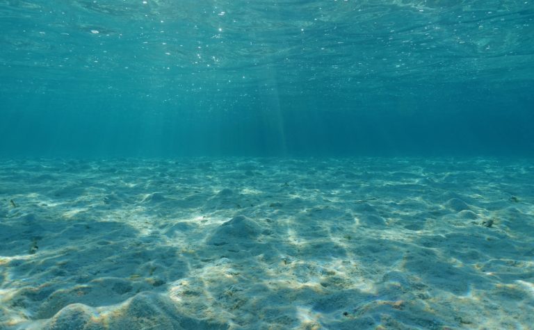 Superfície dos oceanos tem a segunda mais alta temperatura já registrada