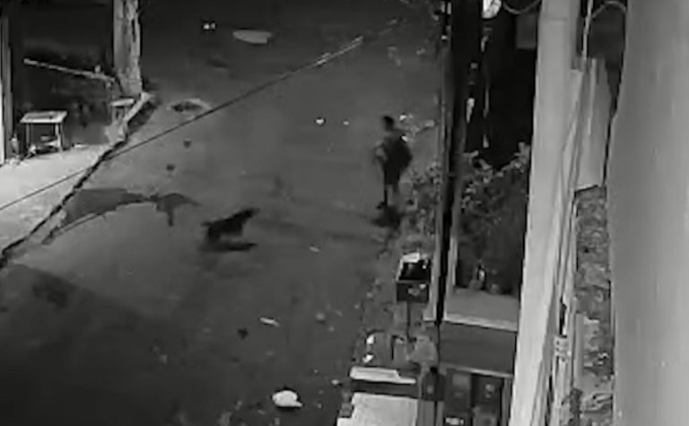 VÍDEO | Mulher é atacada por pitbull em rua de Cariacica; vítima está hospitalizada