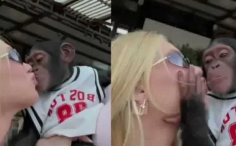 Virginia se pronuncia após críticas por vídeo em que aparece beijando macaco