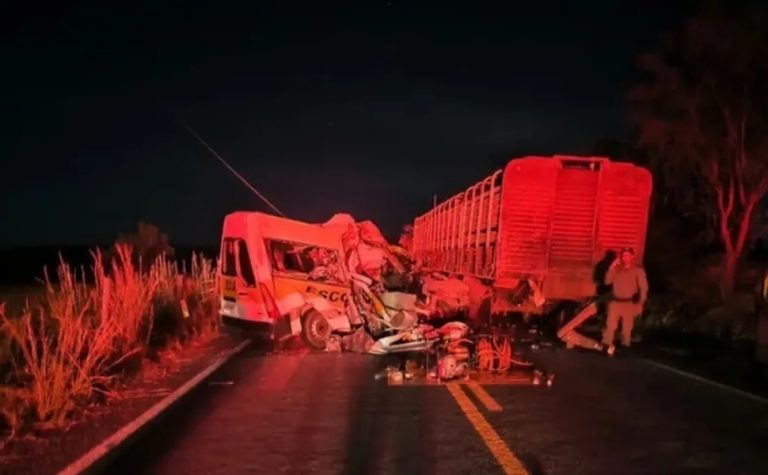 Acidente entre van escolar e caminhão deixa 5 mortos em Goiás