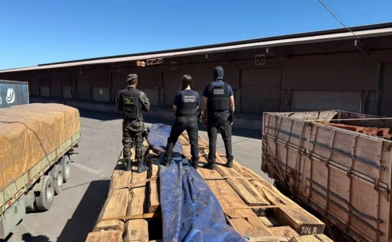 Apreensão de cocaína em carga de madeira pode ser a maior do Brasil