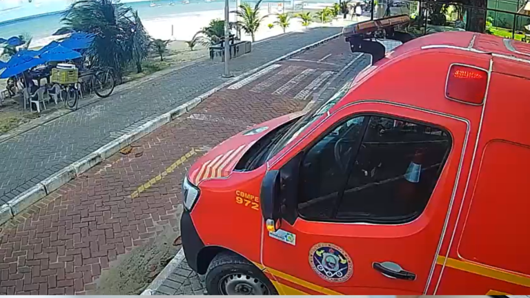 Cemit diz que tubarão cabeça-chata foi responsável por ataque a menino na RMR