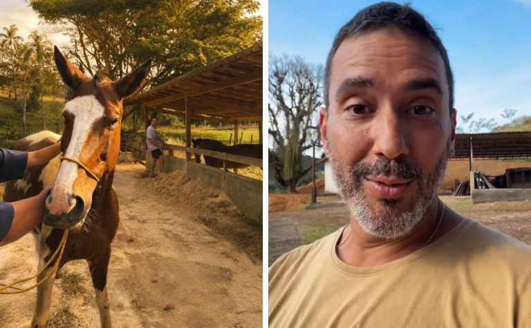Conheça Hope, a égua ‘que ia virar carne seca’ mas foi adotada por André Marques