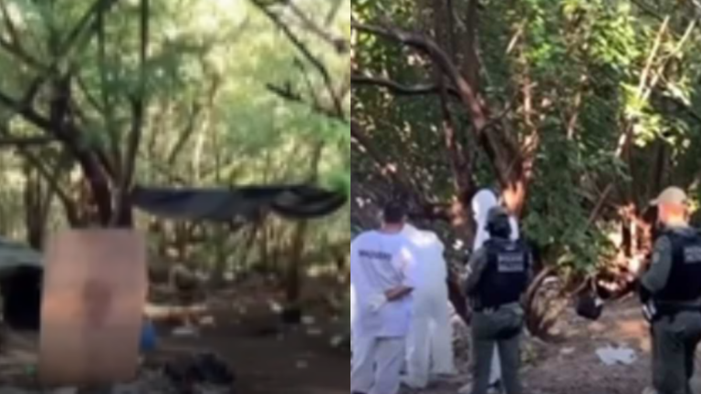 Corpo esquartejado é achado em saco no Centro do Recife