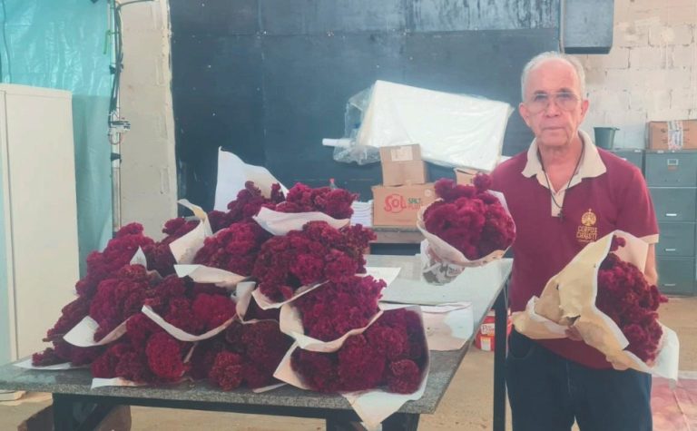 Corpus Christi: “enquanto viver, vou fazer os tapetes de Castelo”, diz organizador