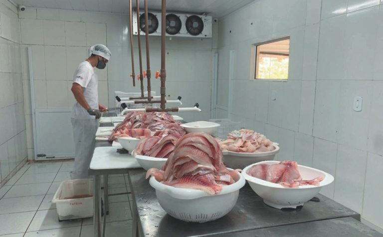 Doença nos EUA pode elevar demanda por carne do Brasil