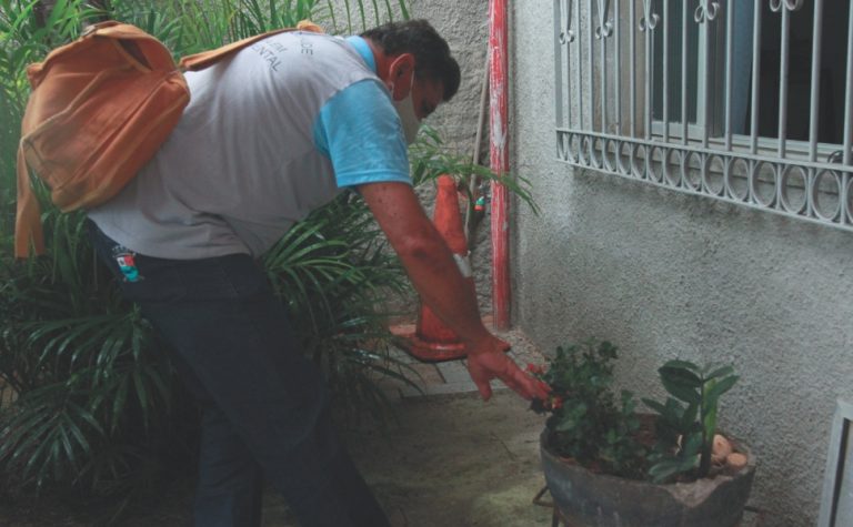 ES já registrou três mortes por dengue neste ano