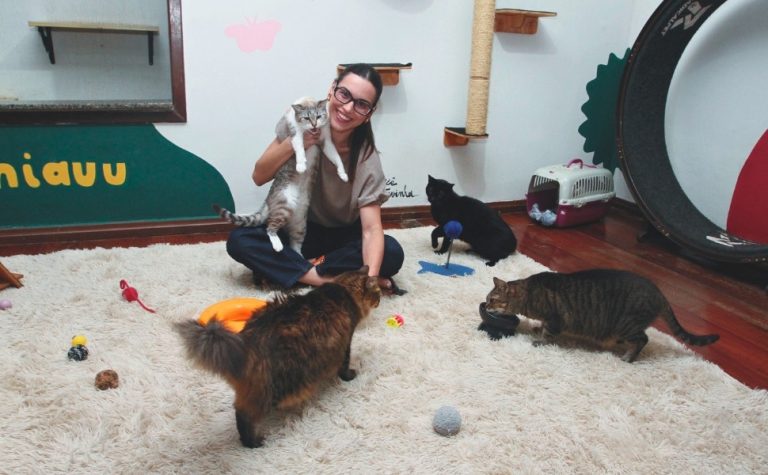 Famílias do ES já têm mais de 1,8 milhão de cães e gatos
