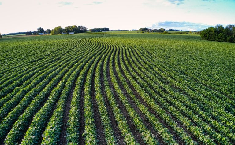 Força do campo: agro tem mais de 273 mil empregados no ES