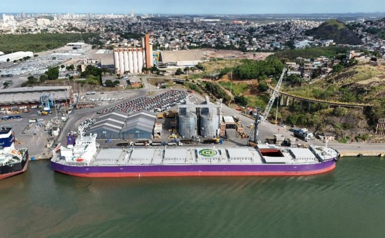 Importações puxam recorde nos portos de Vitória e Vila Velha, com 458 mil toneladas
