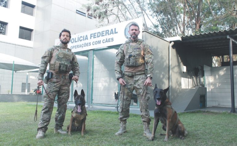 Nova geração de cães para ajudar a polícia do ES a combater o crime