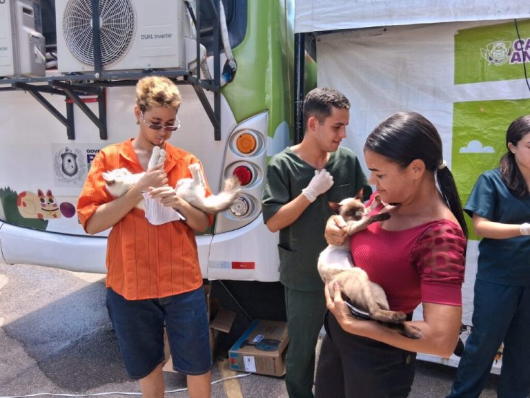 Olinda abre inscrições para castração gratuita de cães e gatos pelo CastraMóvel