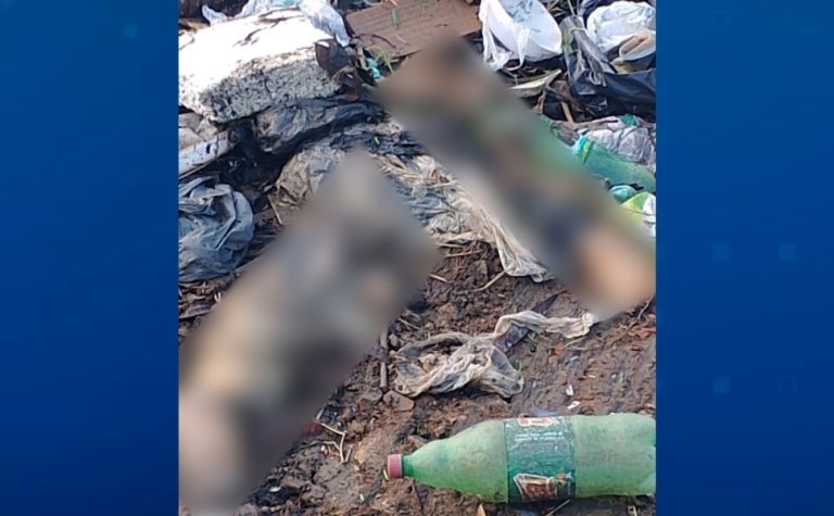 Pernas humanas são encontradas dentro de sacola em canal de Vila Velha