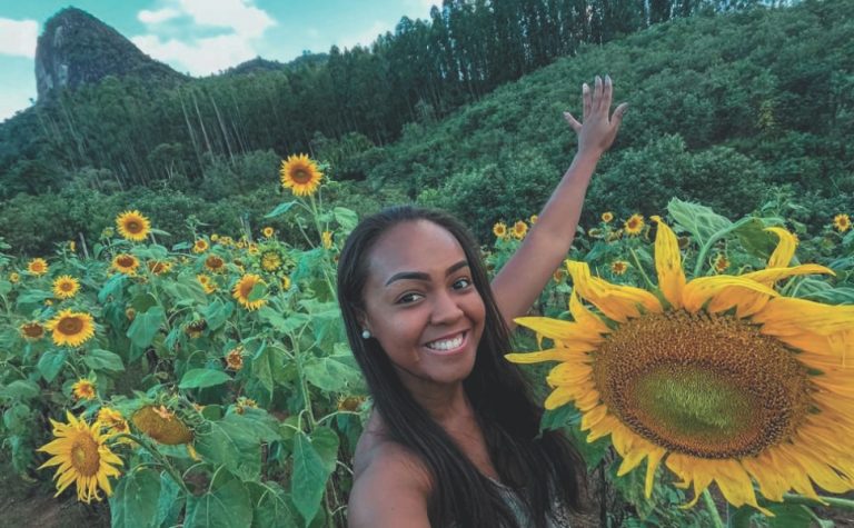Point para selfies em meio aos parques de girassóis, lavandas e cerejeiras