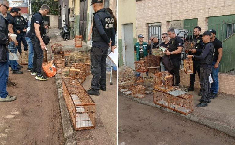 Polícia apreende 22 aves silvestres sendo comercializadas ilegalmente em Vila Velha