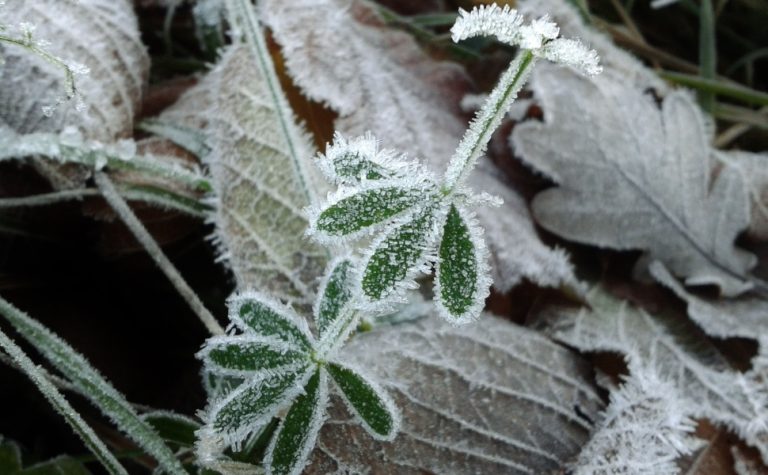Potente massa de ar frio pode trazer neve a dois estados do Brasil. Veja quais