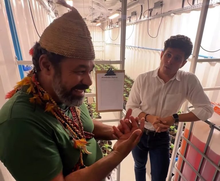 Primeira associação indígena de cannabis medicinal do Brasil é criada em Pernambuco