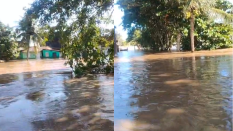 Temporais alagam cidades e deixam desalojados na Zona da Mata de PE