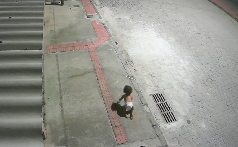 VÍDEO: bebê é encontrada engatinhando sozinha em rua de Vila Velha
