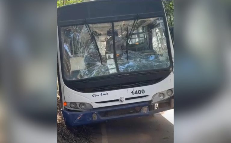 Acidente entre ônibus escolar e carreta deixa doze crianças feridas em Pancas