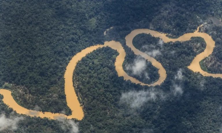 Amazônia tem menor índice de desmatamento para o 1º semestre em uma década