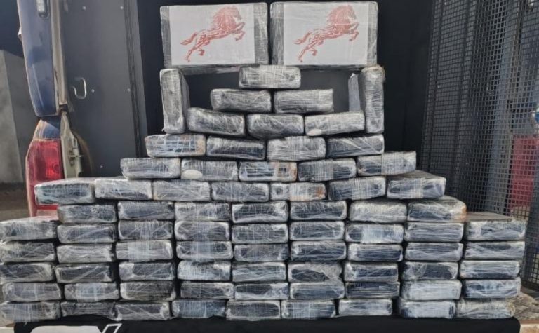 Avião com dois corpos e carga de cocaína é encontrado caído em MT