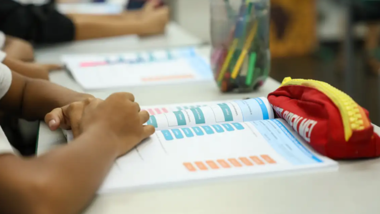 Educação política passa a integrar currículo escolar brasileiro