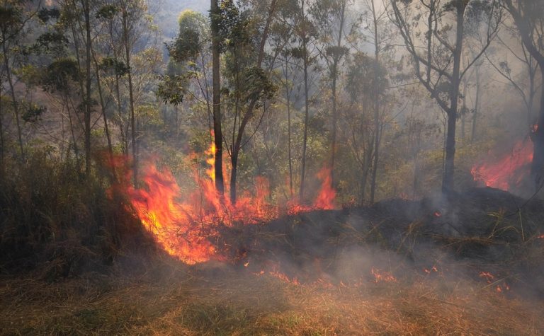 El Niño pode trazer ondas de calor, incêndios e chuvas irregulares, alerta governo