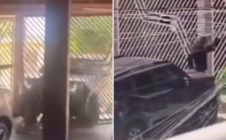 Estudante de medicina atropela e mata homem em Porto Velho (RO) após briga