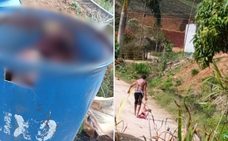 Homem é preso por torturar e matar cadela comunitária no Sul do ES