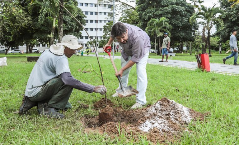 Hospital Barão de Lucena realiza plantio de árvores